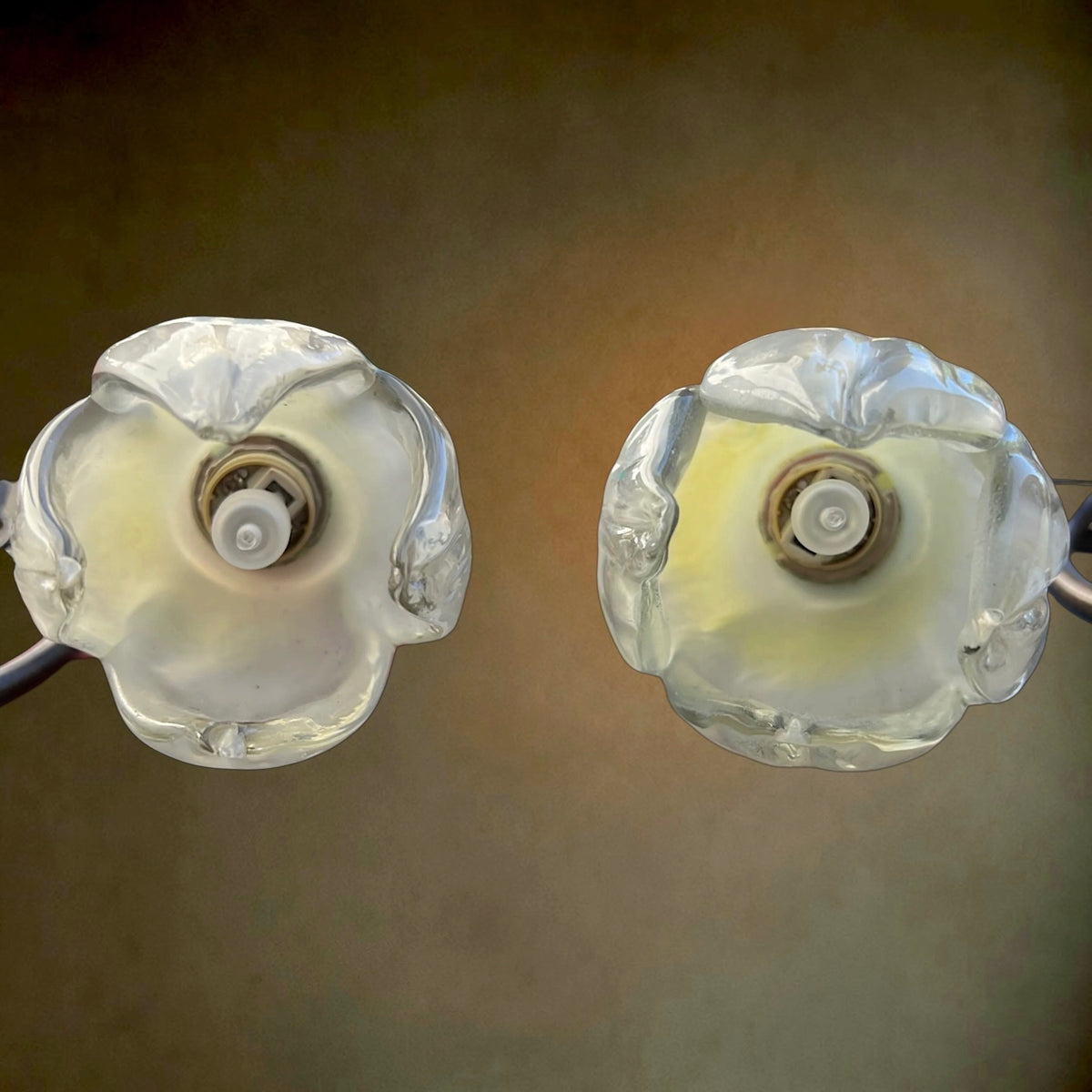 Paire d'Appliques Murales Florales Massive en Métal Patiné et Verre – Années 2000