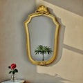 Miroir mural coquille ancien résine dorée glace biseautée
Titre SEO :