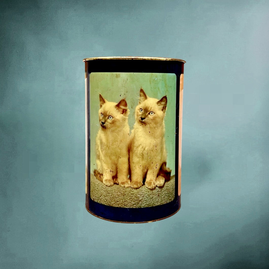Corbeille Ancienne en Tôle Émaillée Décor Chaton