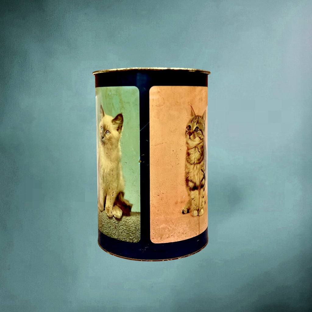 Ancienne Corbeille en Tôle Émaillée Décor Chatons - Années 50 60