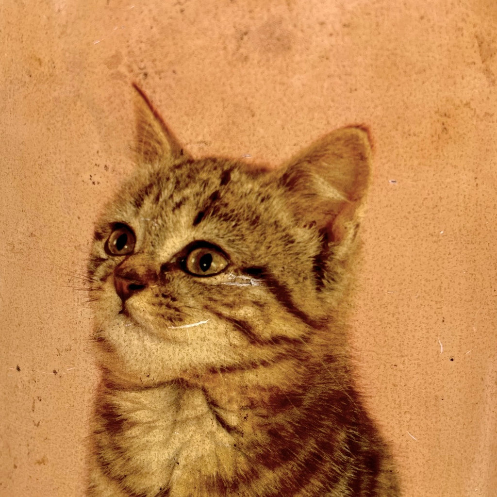Ancienne Corbeille en Tôle Émaillée Décor Chatons - Années 50 60