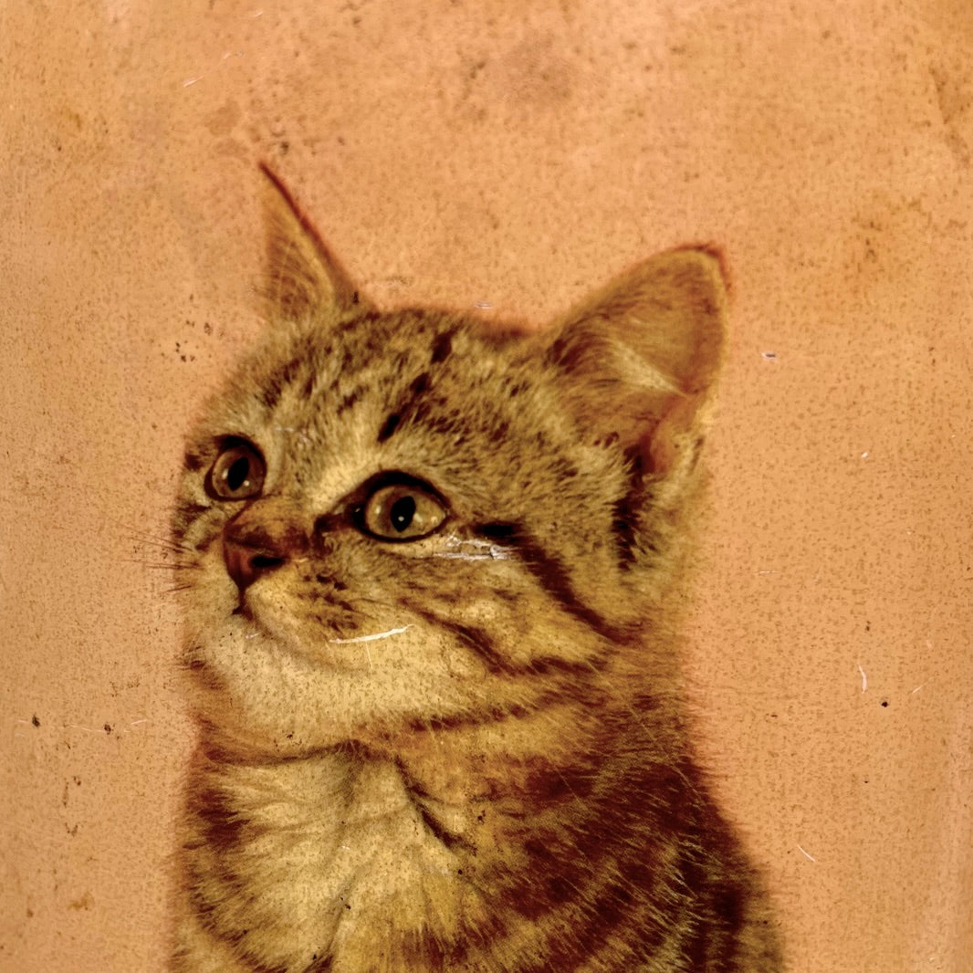 Ancienne Corbeille en Tôle Émaillée Décor Chatons - Années 50 60