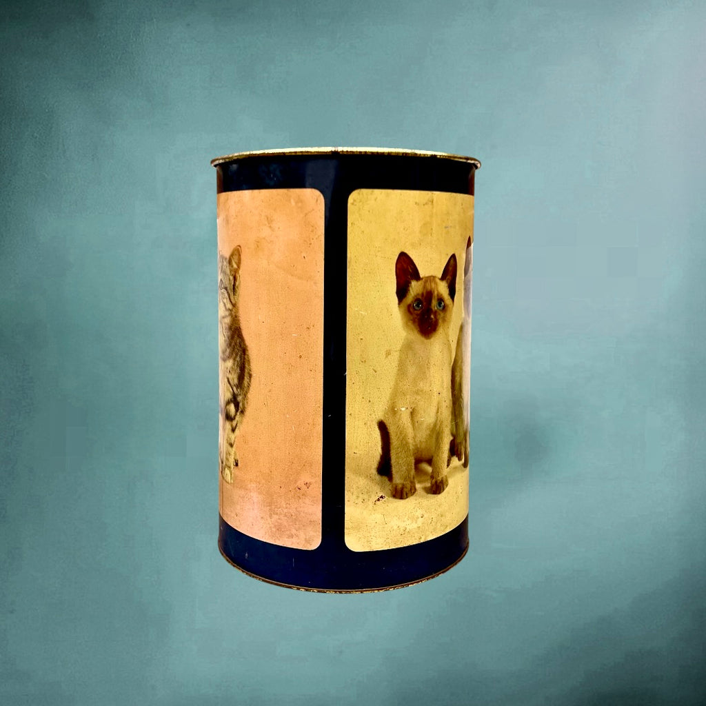 Ancienne Corbeille en Tôle Émaillée Décor Chatons - Années 50 60