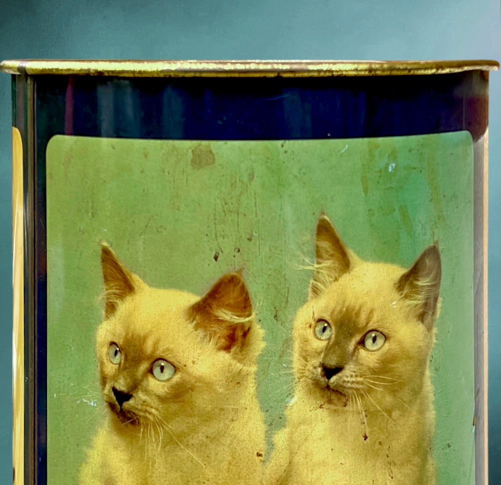 Ancienne Corbeille en Tôle Émaillée Décor Chatons - Années 50 60