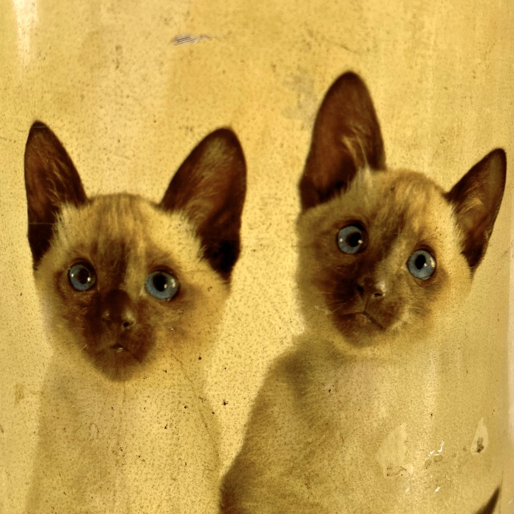 Ancienne Corbeille en Tôle Émaillée Décor Chatons - Années 50 60