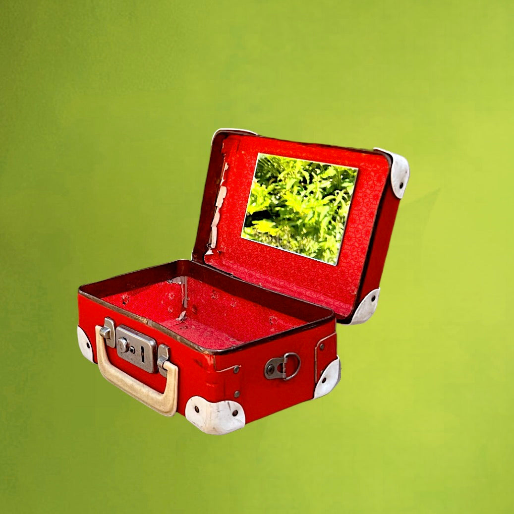 Petite Valisette Vintage Rouge Carton Enduit Coins Blancs Miroir Intérieur – Années 50 60