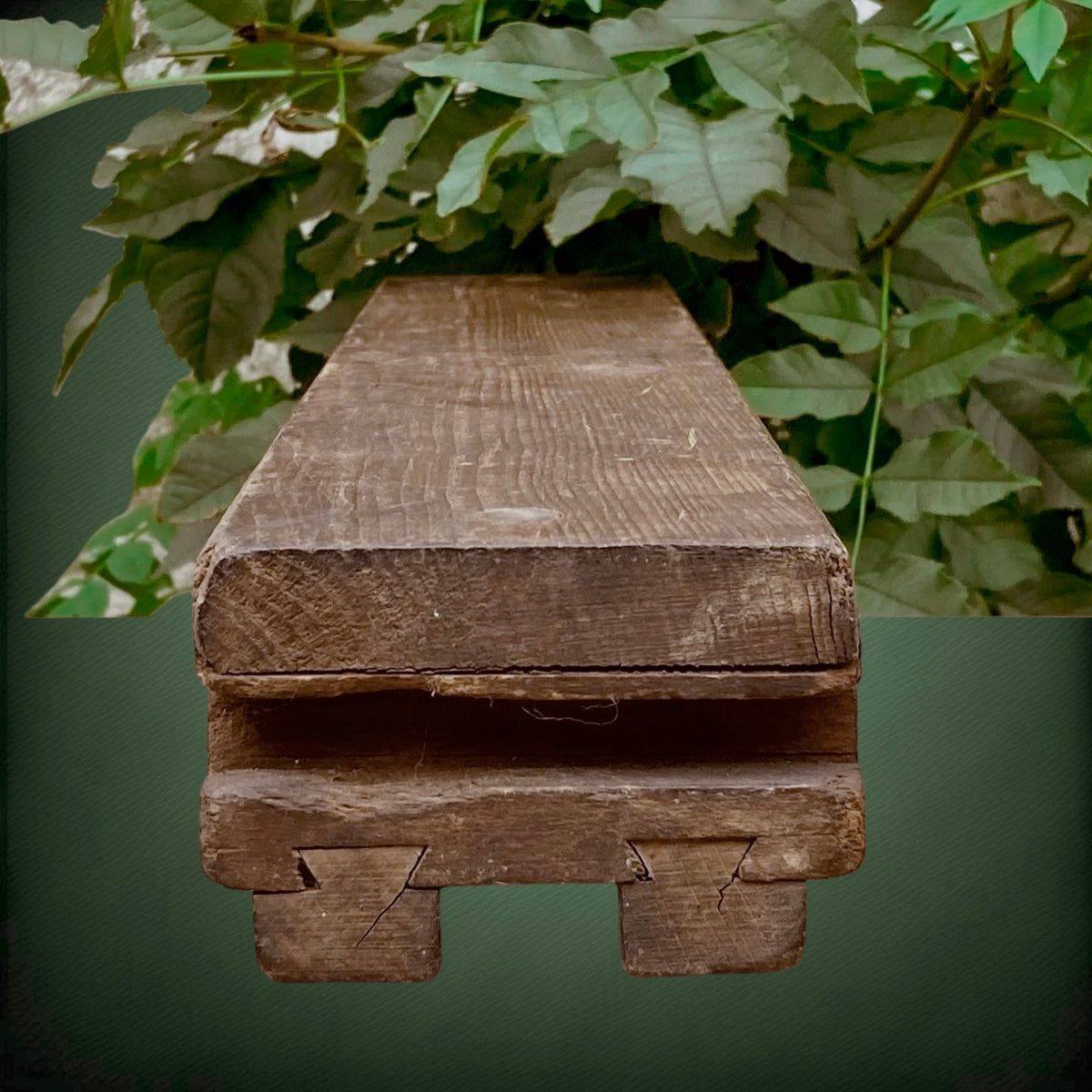 Ancien Moule à Cigares en Bois S.A. Ficus Bruxelles – Début 1900