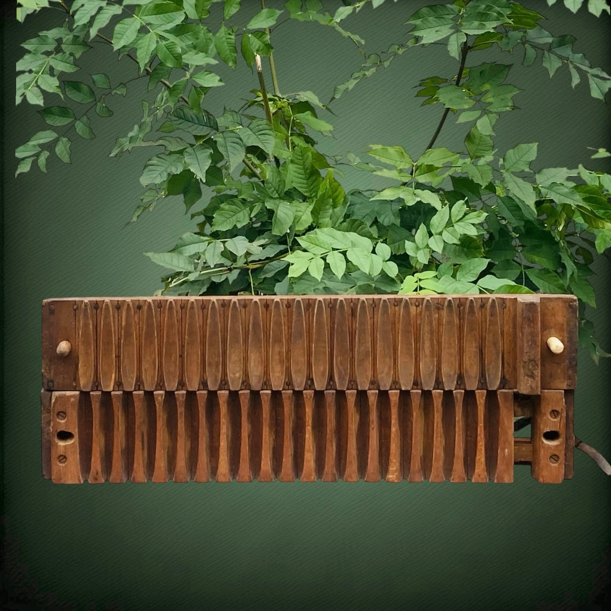Ancien Moule à Cigares en Bois S.A. Ficus Bruxelles – Début 1900