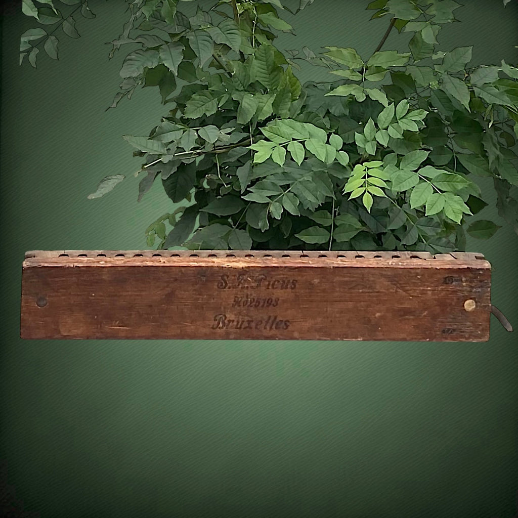 Ancien Moule à Cigares en Bois – S.A. Ficus Bruxelles