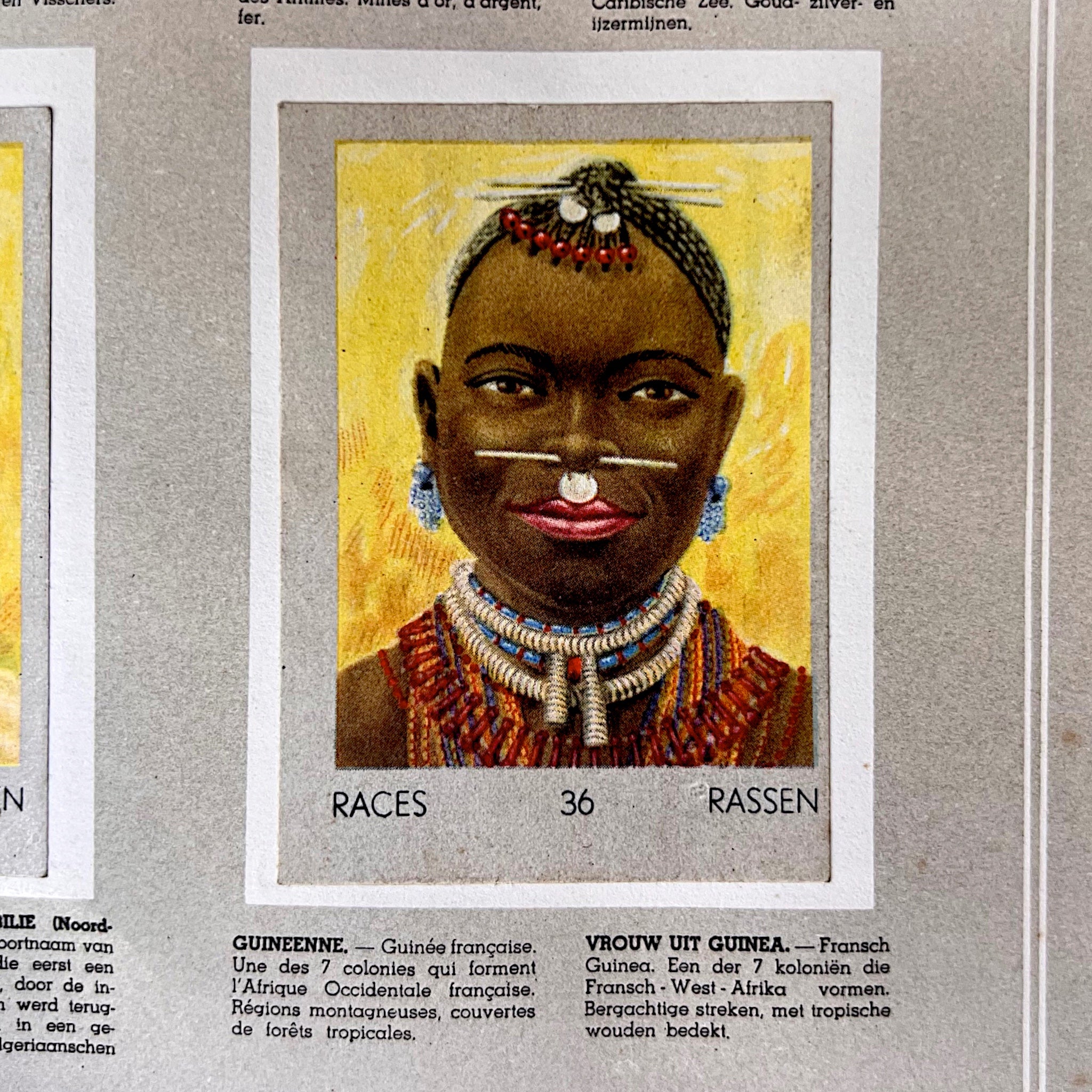 Album Publicitaire Jacques « Les Races Humaines » Complet – 1947