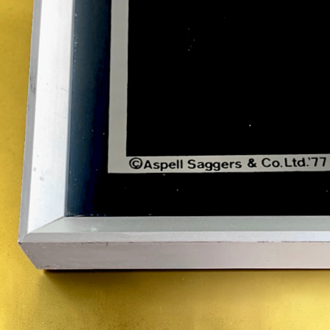 Miroir mural vintage Aspell Saggers & Co – sérigraphie sous verre – dame au panier de fleurs – 1977